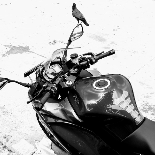 IMG_20180721_165412_394